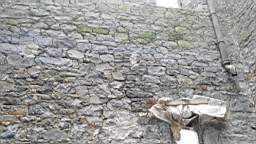 acastle
                          107245.jpg